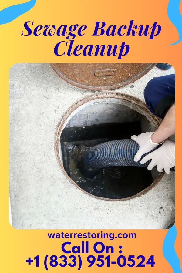 Sewage Backup Cleanup in West Union, IA