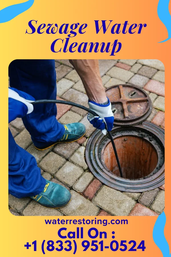 Sewage Water Cleanup in West Union, IA